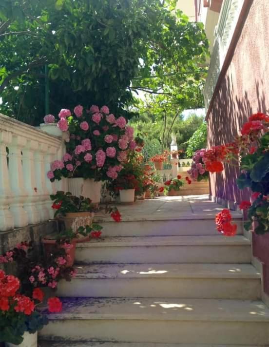 Apartment Vila Jakupi *